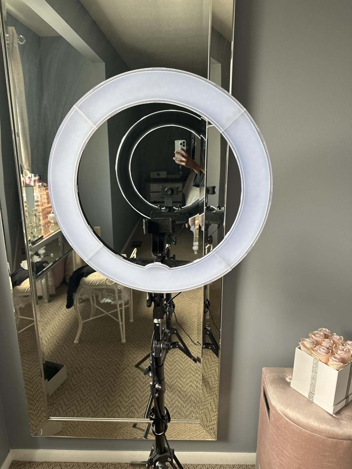 NEEWER Ring Light 18inch Kit: 55W 5600K Professional LED with Stand and Phone Holder, Soft Tube & Bag for Tattoo Lash Extension Barber Makeup Artist Studio Video Photography Lighting, RL-18 customer photo 1
