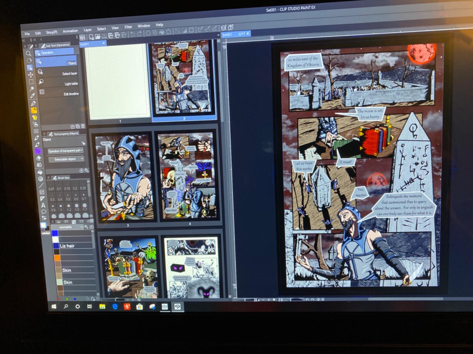 CLIP STUDIO PAINT EX - Version 1 - Perpetual License - for Microsoft Windows and MacOS customer photo 2