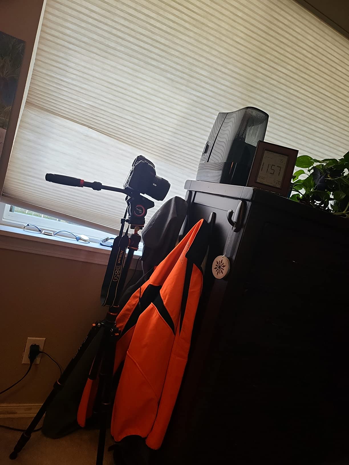 Avella Video Tripod Fluid Head with Quick Release Plate, Lightweight Heavy Duty Compatible with Manfrotto,Max Load 13.2lb/6kg for Video Canon Nikon Sony Olympus Panasonic DSLR Camera, V501 customer photo 1