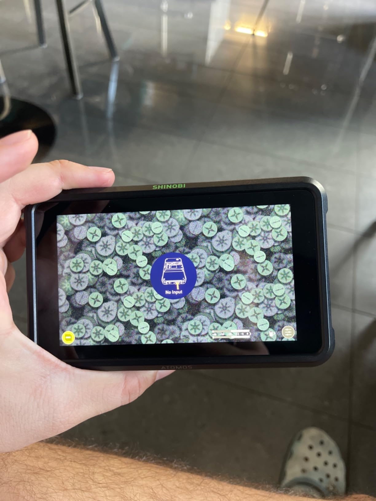 Atomos Shinobi 5-inch HDMI 4K Monitor customer photo 1