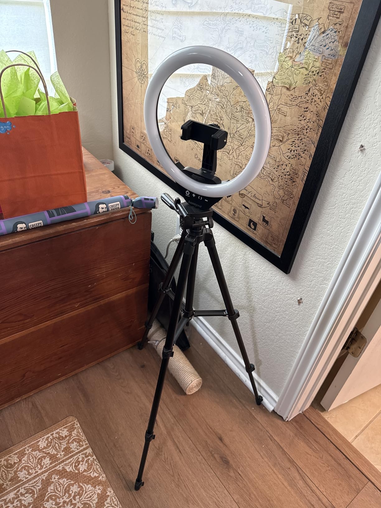 SENSYNE Ring Light with Stand, 50