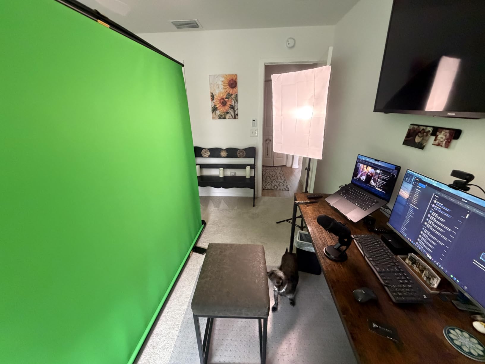 RAUBAY 59.8 x 82.7in Collapsible Green Screen Backdrop | Portable Retractable Chroma Key Panel Photo Background with Stand for Video Conference, Photographic Studio, Streaming customer photo 2