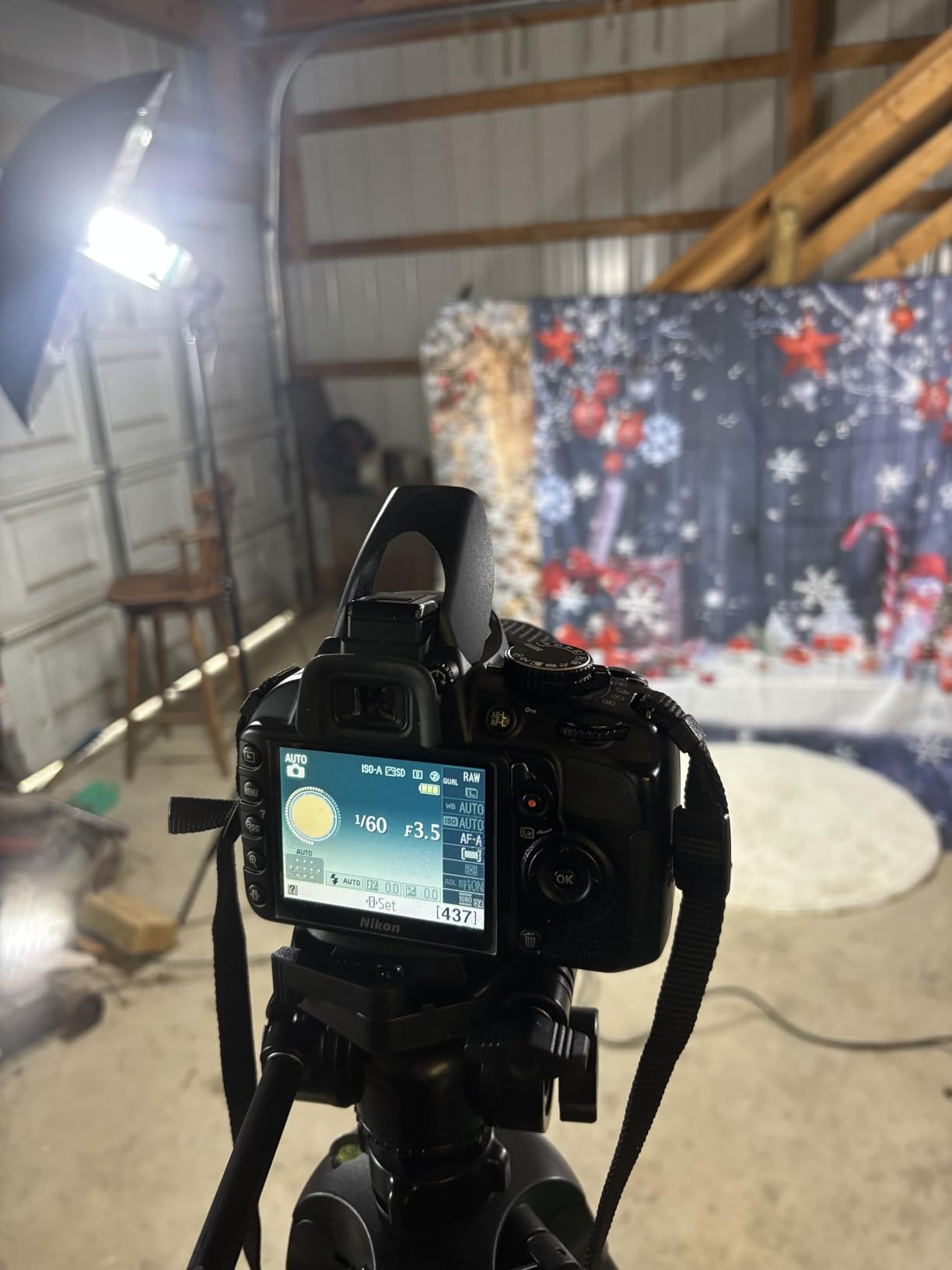 ShowMaven Photography Lighting, 6.5ft x 10ft Backdrop Stand and Umbrellas Continuous Lighting Kit for Photo Studio Product, Portrait and Video Shoot Photography customer photo 1
