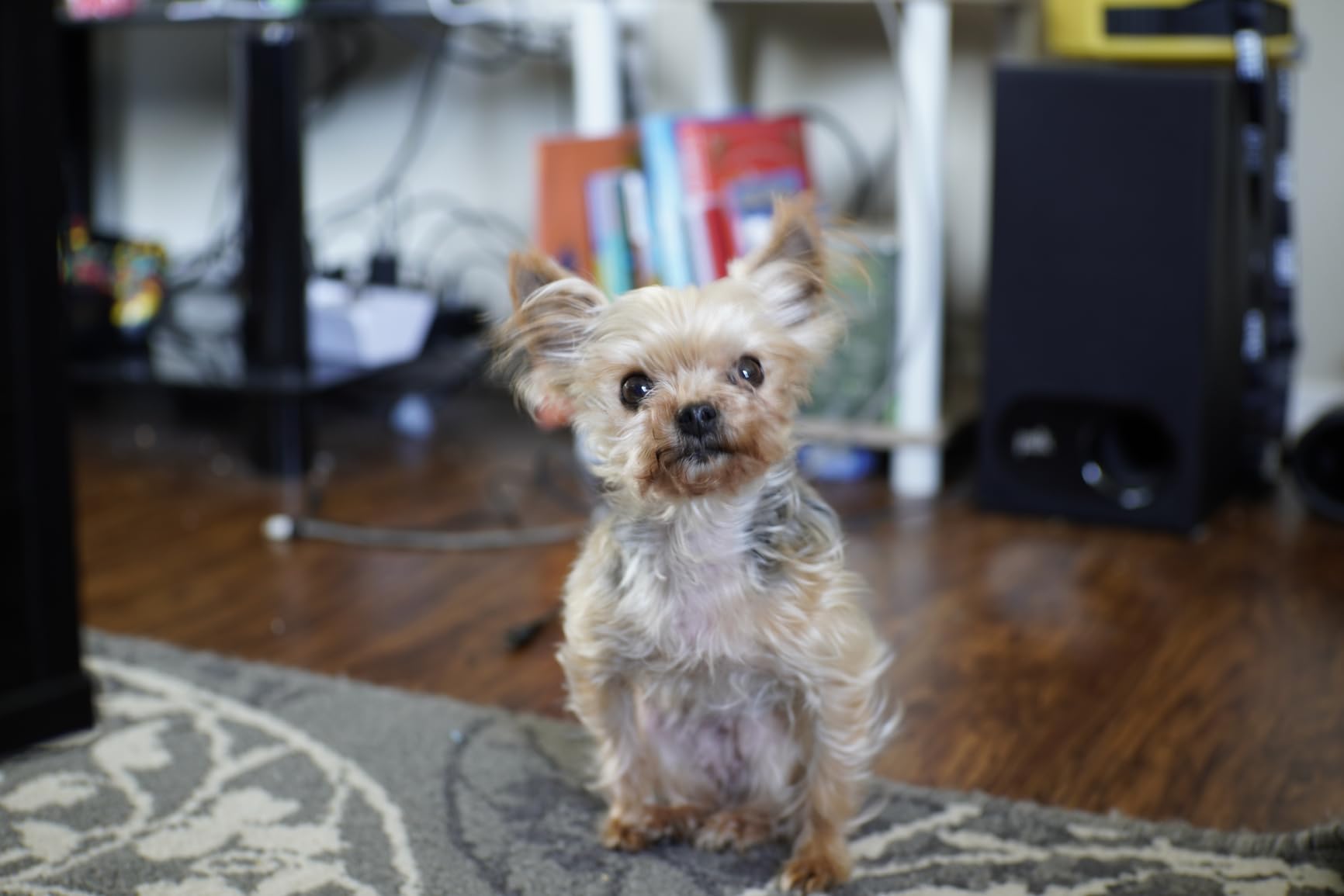 7Artisans 35mm F1.4 Mark II APS-C Manual Focus Fixed Lens Large Aperture for Sony E Mount Mirrorless Cameras customer photo 1