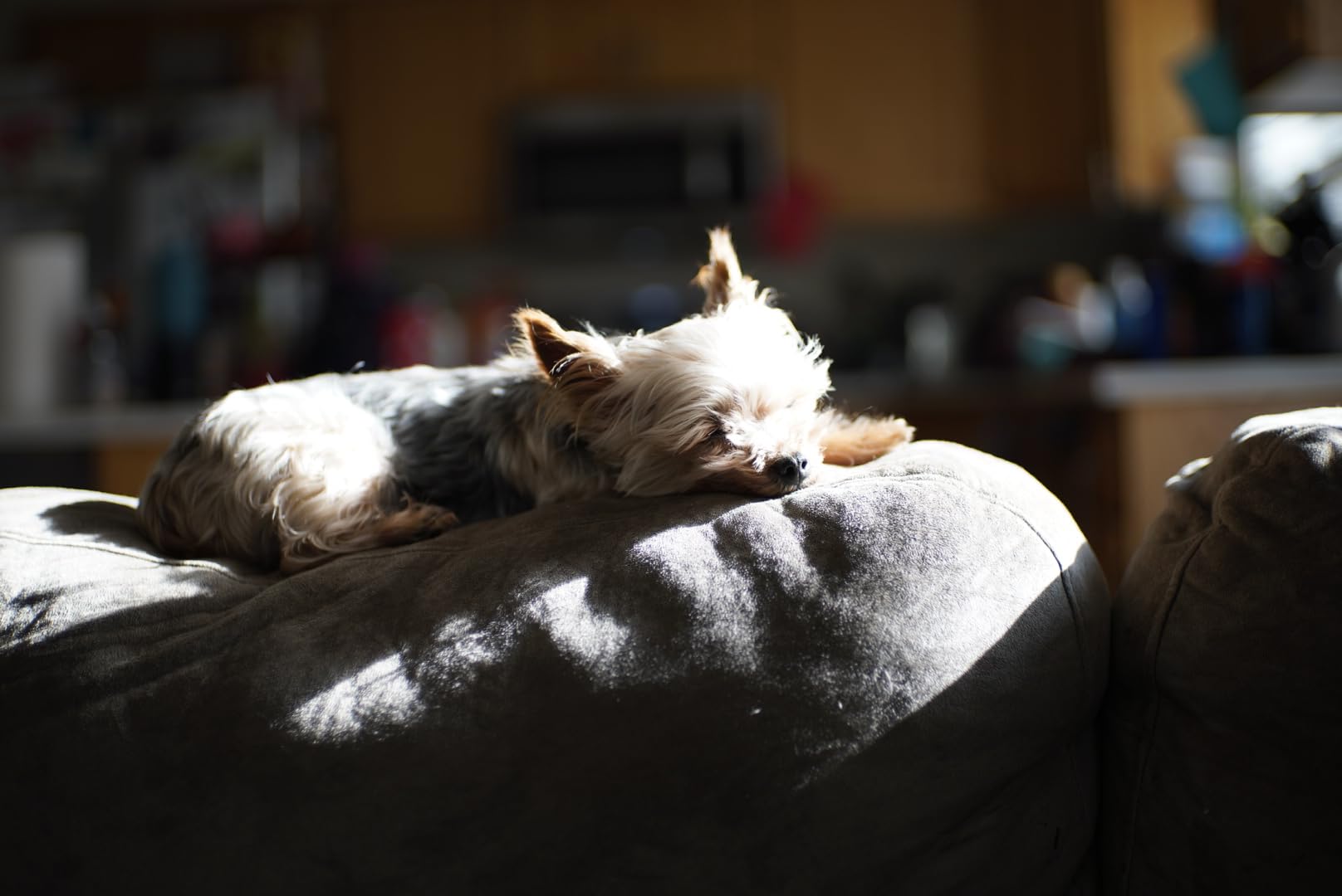 7Artisans 35mm F1.4 Mark II APS-C Manual Focus Fixed Lens Large Aperture for Sony E Mount Mirrorless Cameras customer photo 2