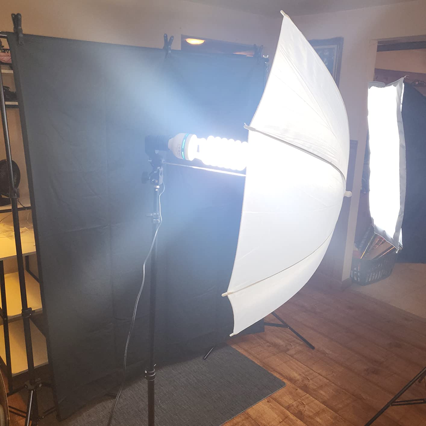 RALENO Photography Lighting Kit, 8.5x10ft Backdrop Stands with Green Screen customer photo 1