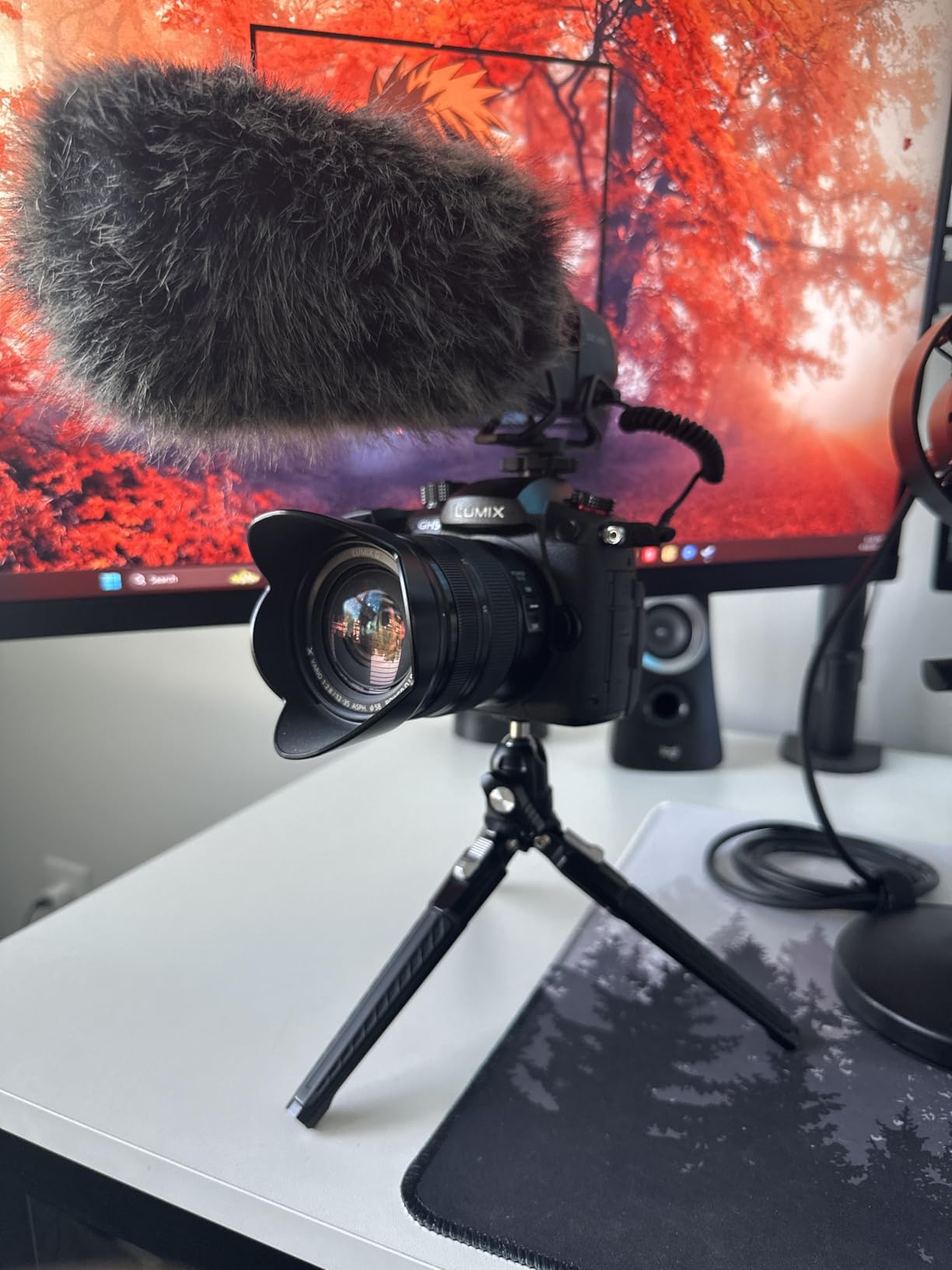 NEEWER Mini Metal Table Tripod with 360° Ball Head, Supports Vertical Recording and Handle, Portable Travel Tripod with 1/4 Inch Screw for Camera Mobile Phone Action Cam, Max. Load 3 kg, TP29 customer photo 1