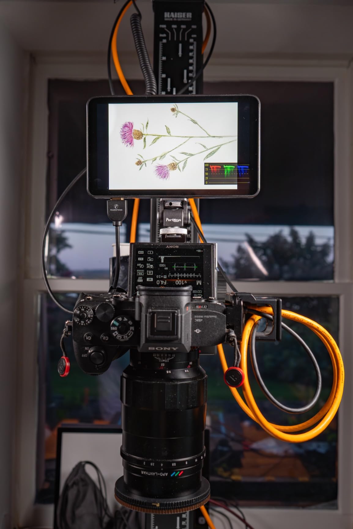 Portkeys LH7P 7