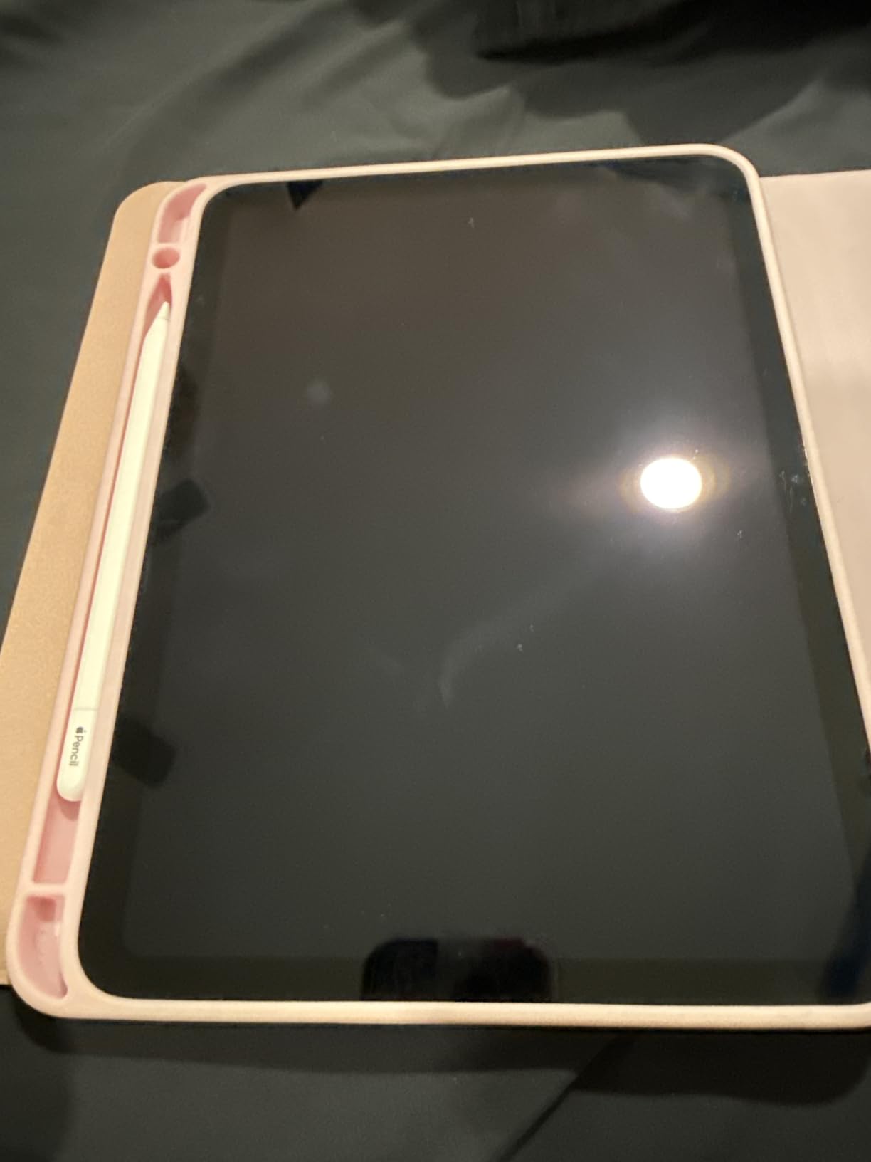 Pencil (USB-C): Pixel-Perfect Precision, Tilt Sensitivity customer photo 2