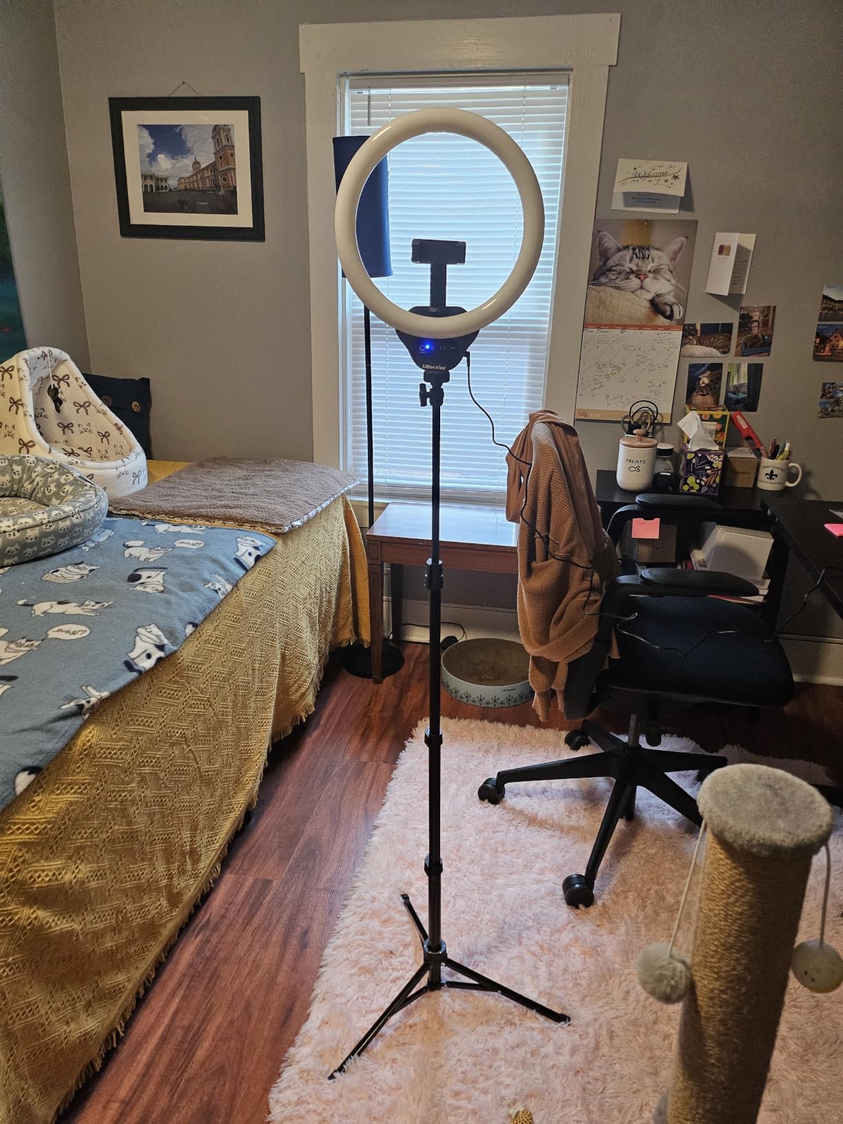 UBeesize 14'' LED Foldable Ring Light with 62'' Tripod Stand, Selfie Ring Light for Video Recording, Live Streaming, TikTok & YouTube, Compatible with iPhone & Android (Black) customer photo 1