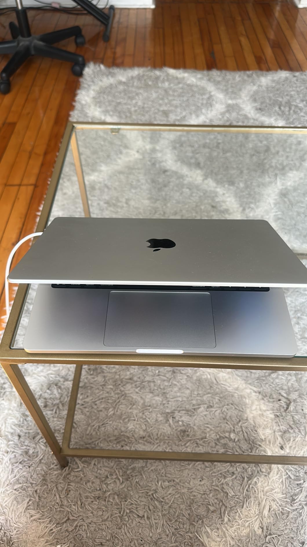 Apple 2025 MacBook Pro Laptop with Apple M5 chip with 10‑core CPU and 10‑core GPU: Built for AI, 14.2-inch Liquid Retina XDR Display, 24GB Unified Memory, 1TB SSD Storage; Silver customer photo 1