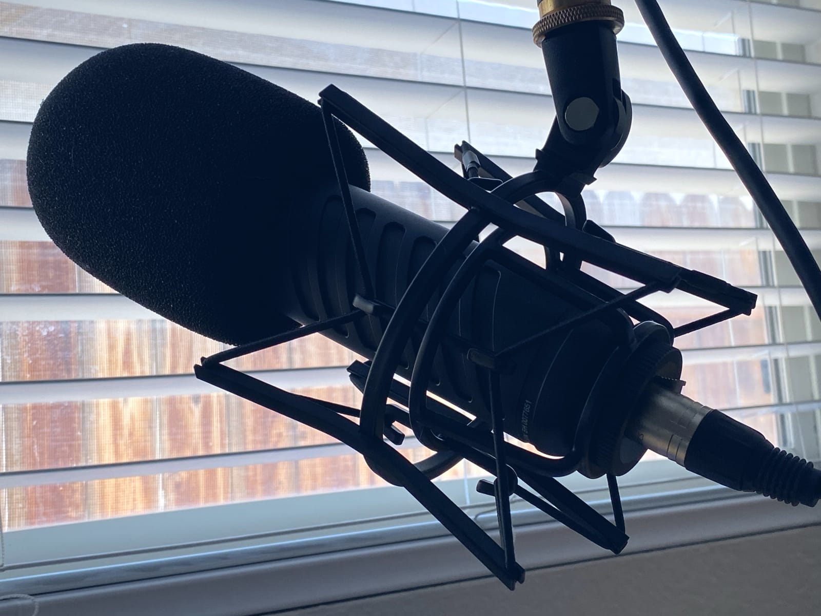 RØDE PSM1 Shock Mount for PodMic, Podcaster & Procaster Microphones customer photo 2