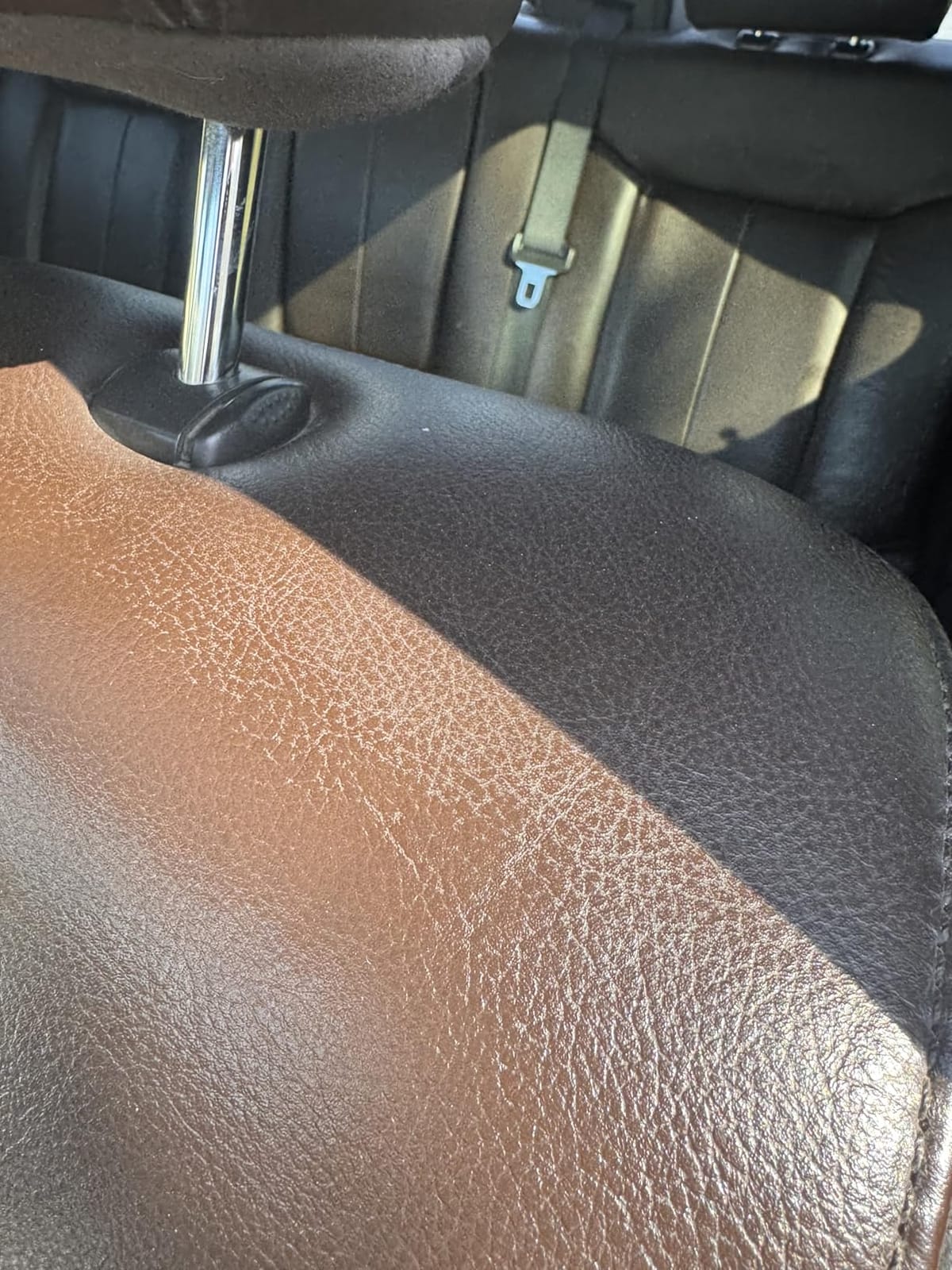 Chemical Guys, Leather Cleaner & Conditioner Kit for Cars & Home, 2 x 16 oz customer photo 1