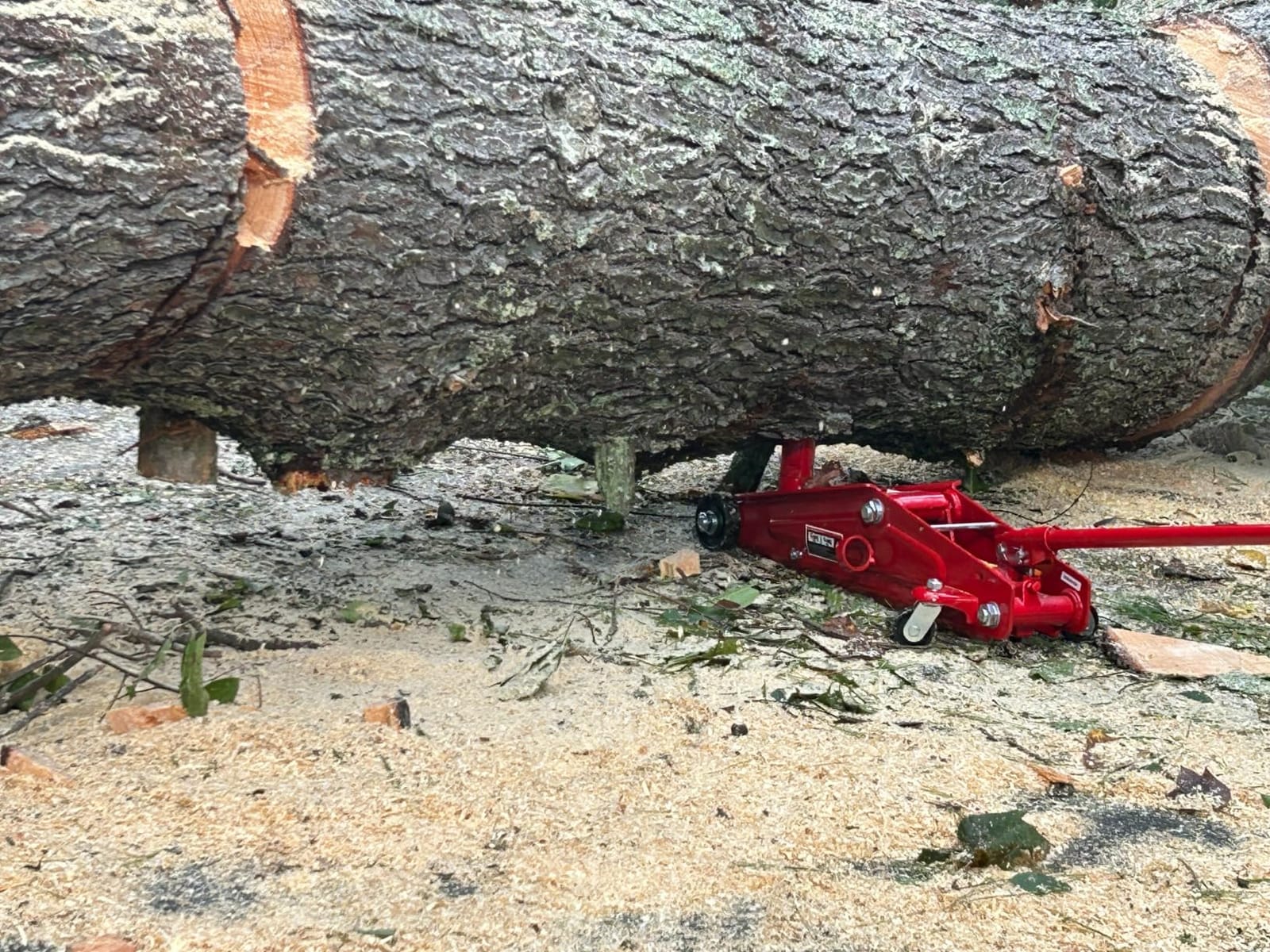 BIG RED Hydraulic Trolley Service/Floor Jack with Extra Saddle (Fits: SUVs and Extended Height Trucks): 3 Ton (6,000 lb) Capacity, Red, T83006 customer photo 2