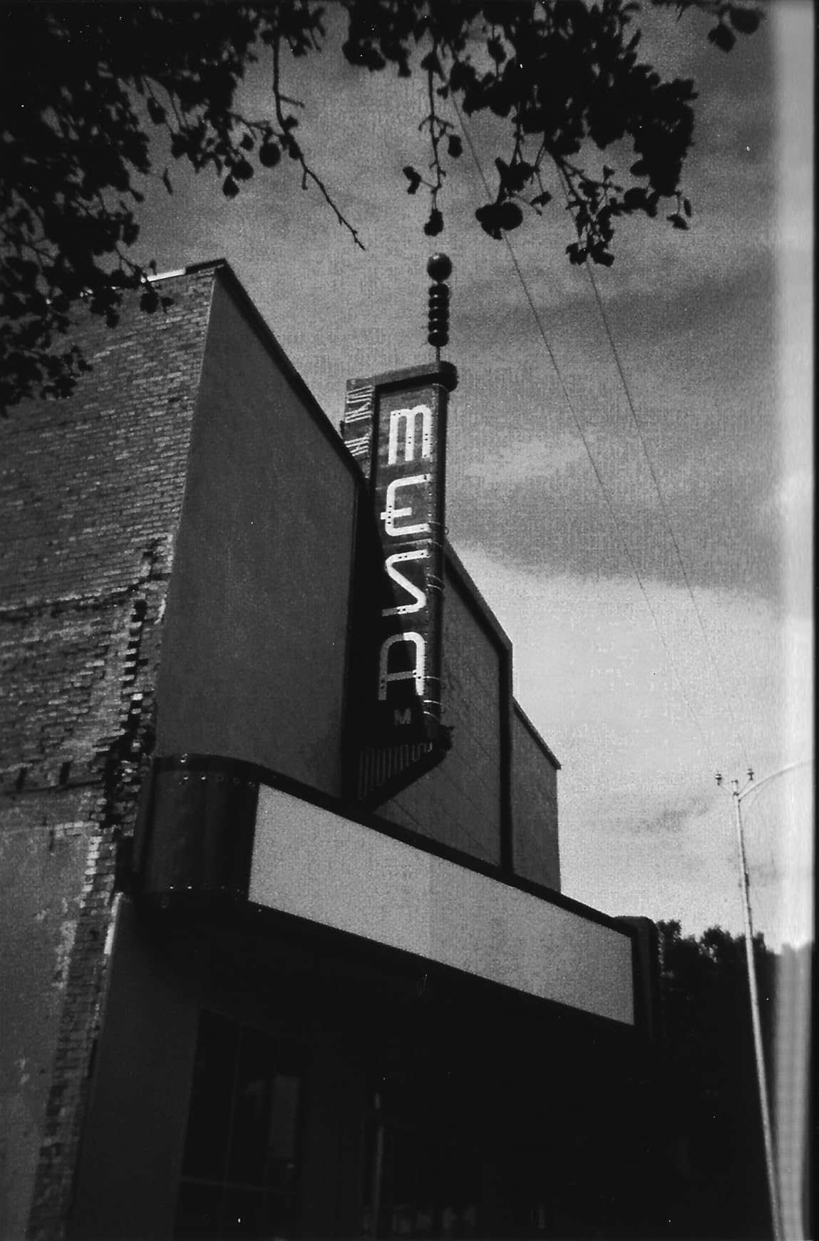 Ilford XP2 Super Single Use Camera with Flash (27 Exposures) Black and White Film CAT1174186 customer photo 2