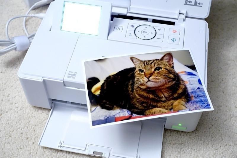 Epson PictureMate PM-400 Wireless Compact Photo Printer customer photo 2