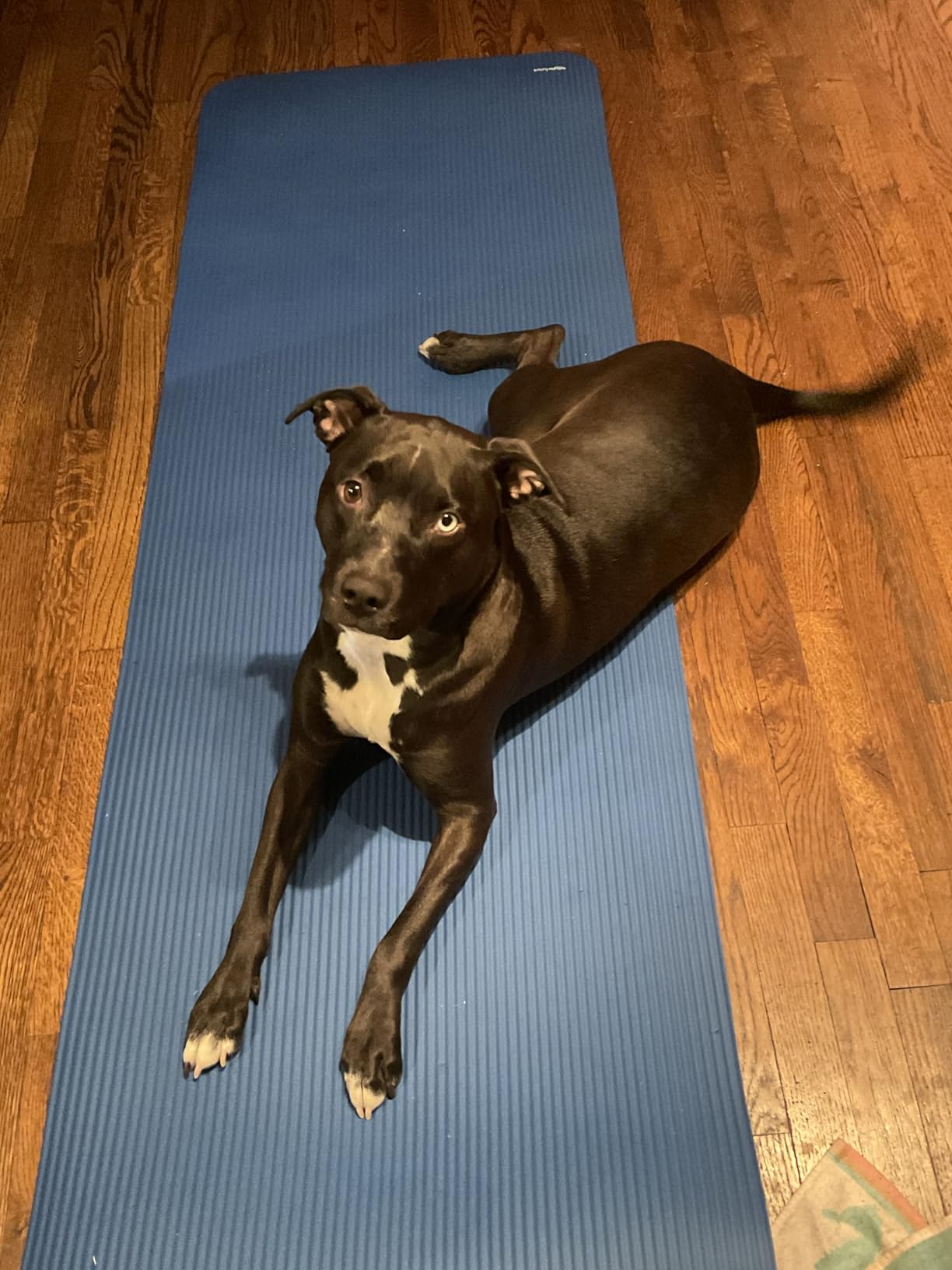 Amazon Basics Extra Thick Exercise Yoga Mat with Carrying Strap customer photo 1