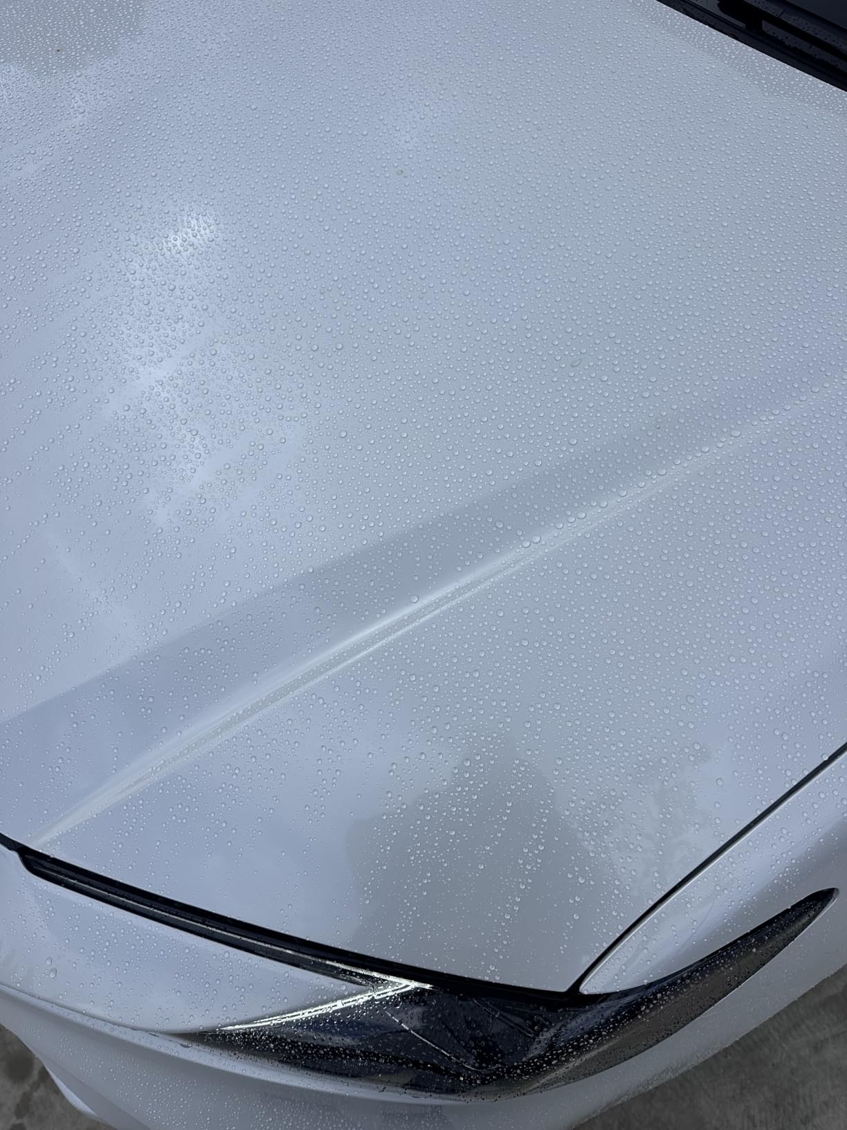 Meguiar's Hybrid Ceramic Wax, 26 Oz customer photo 2