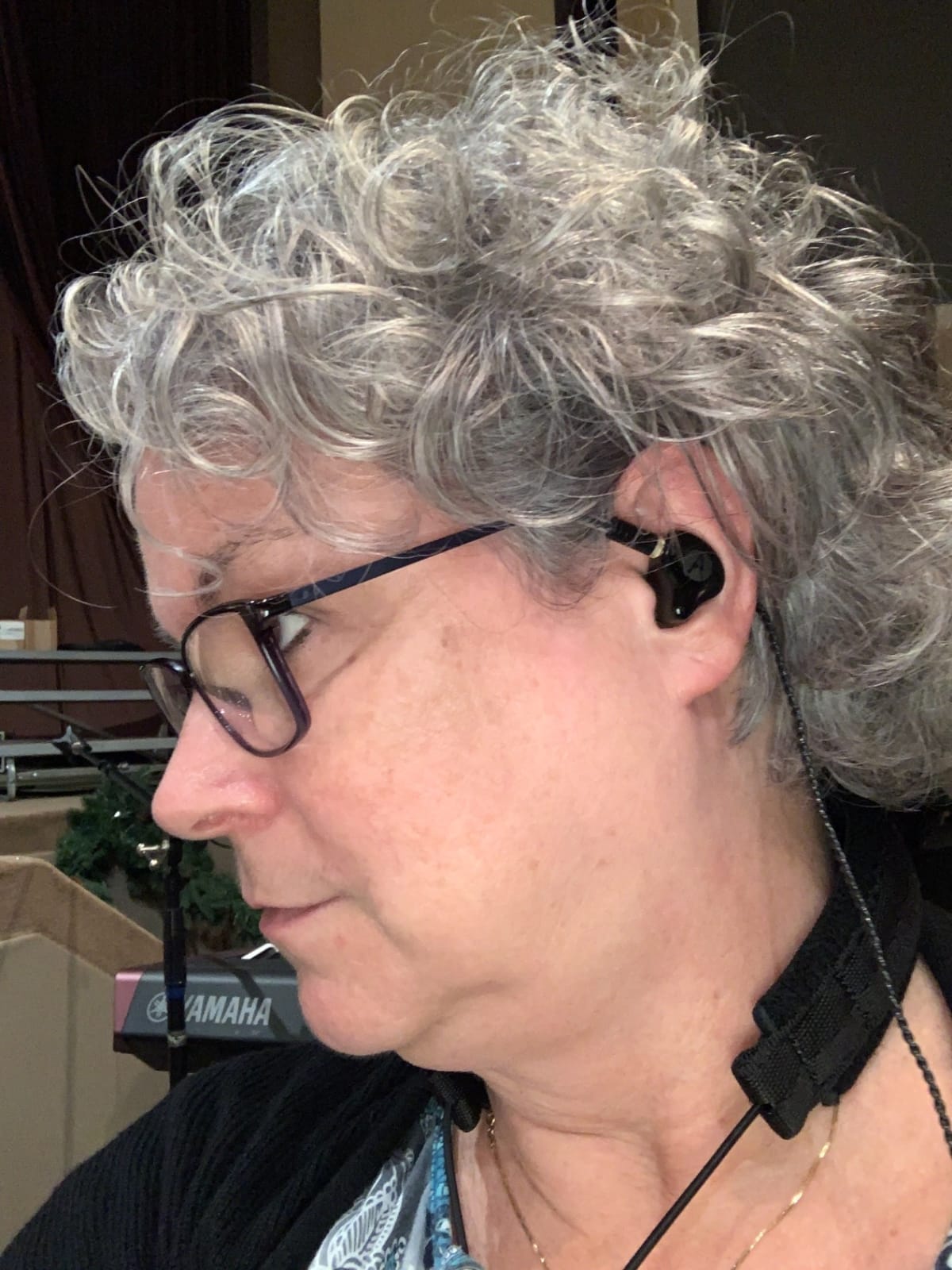 Dual Dynamic Driver IEM Earphones, HiFi Stereo In Ear Monitor Headphones customer photo 2