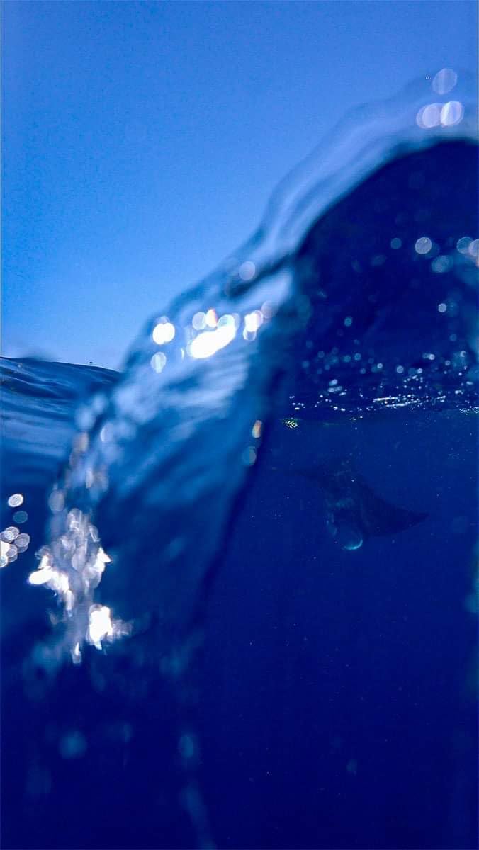 Seafrogs Underwater Housing for Sony A7 III/A7R III with WA005-F Dome Port customer photo 1