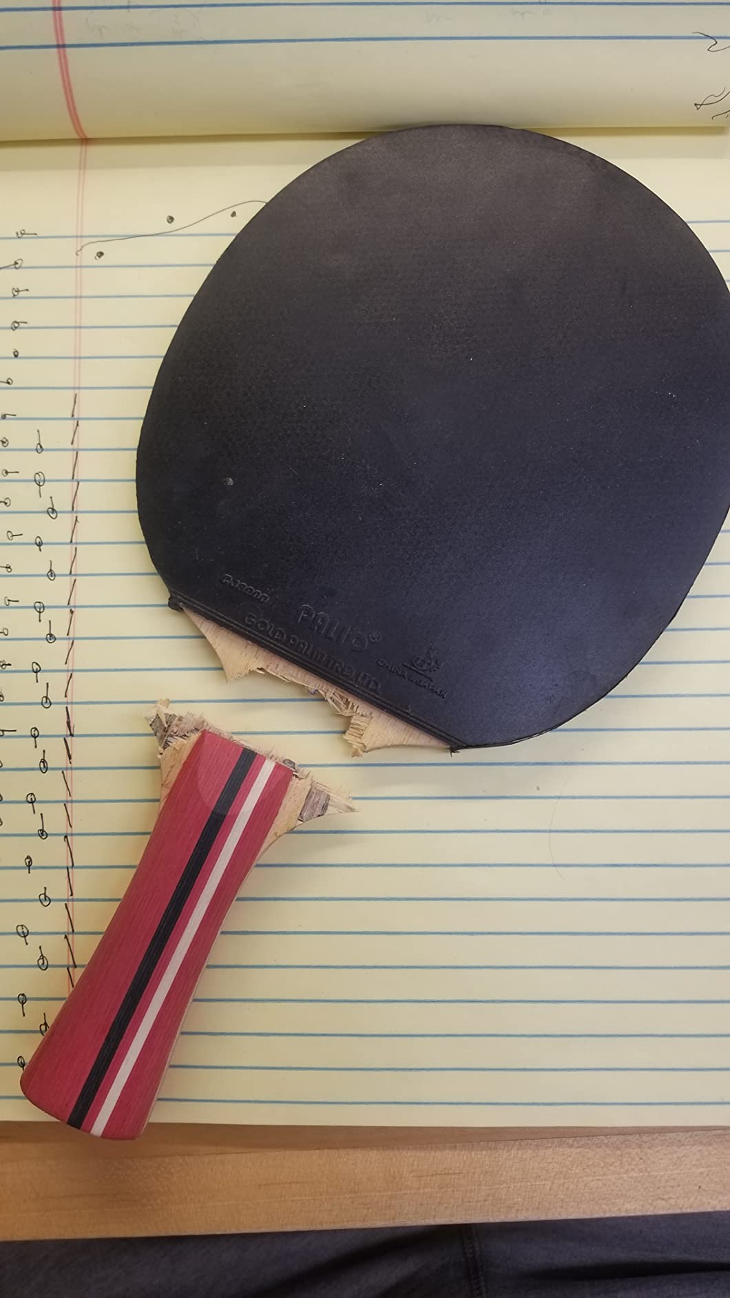 Palio Master 3.0 Table Tennis Bat & Case | ITTF-Approved Intermediate Ping Pong Racket | Allround Speed, Spin and Control customer photo 1