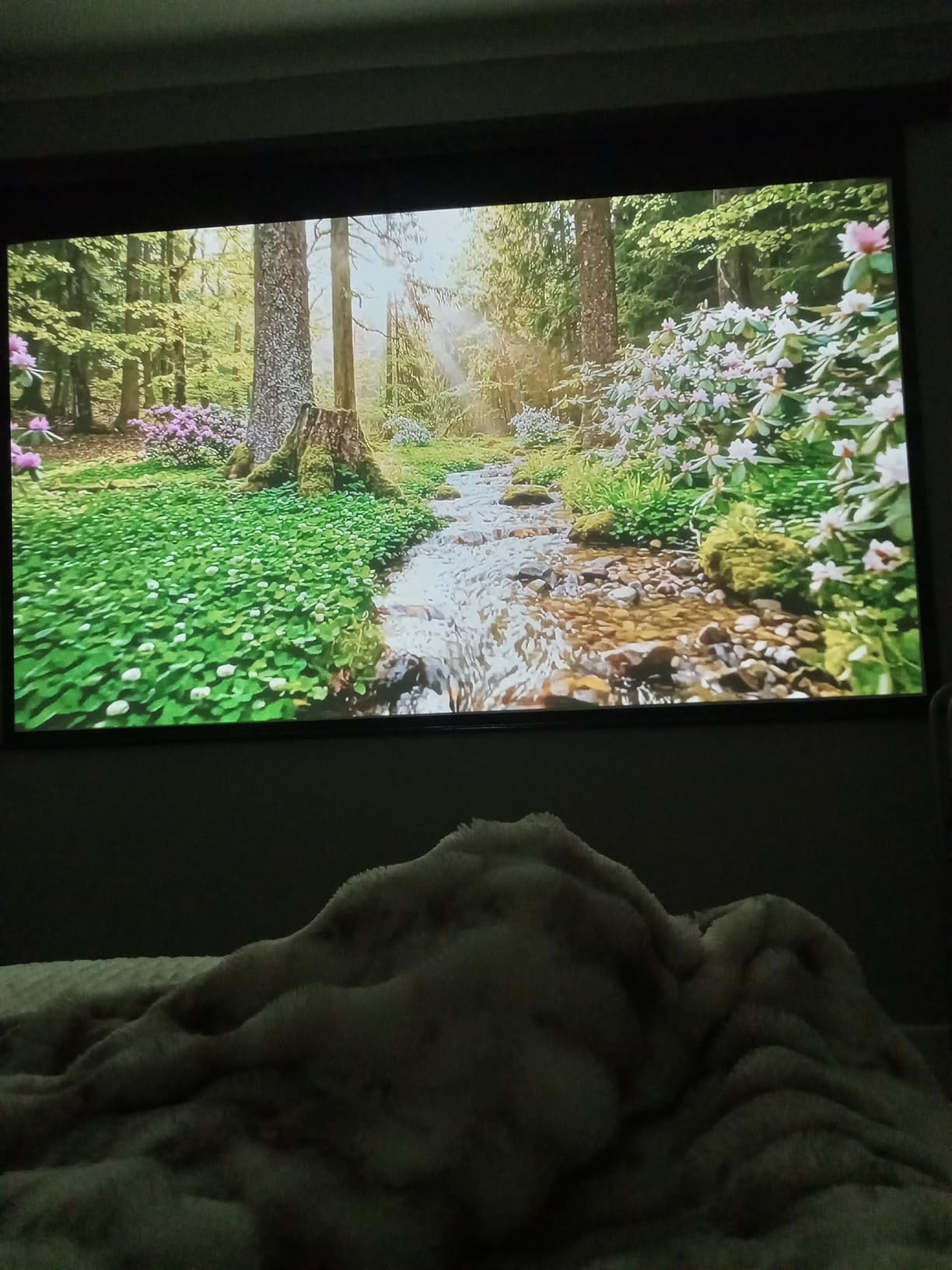Motorized Projector Screen - Indoor and Outdoor Movies Screen Electric Projector Screen W/Remote Control (120 inch) customer photo 1
