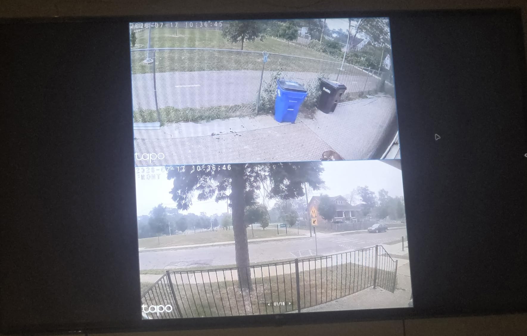 Tapo 1080P Indoor Security Camera, Baby Monitor, Dog Camera, Wired, C100 customer photo 1