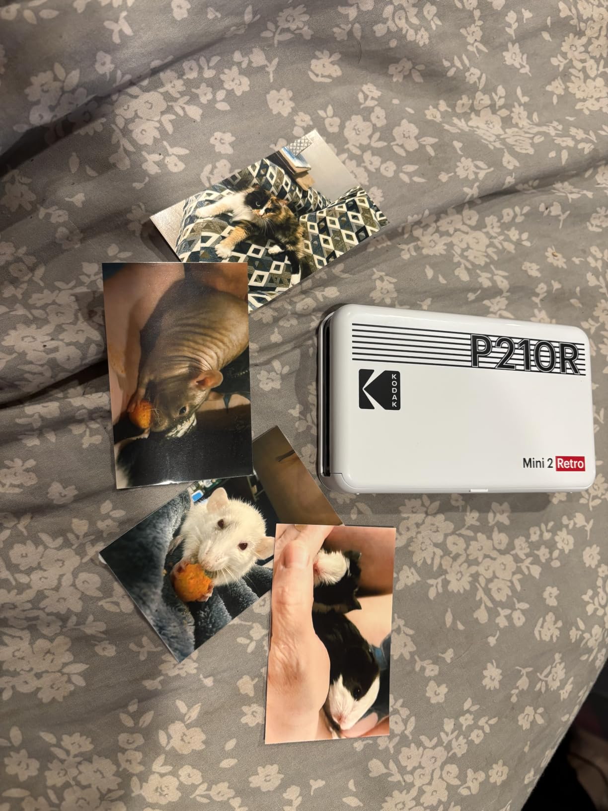 KODAK Mini 2 Retro 2x3 Portable Photo Printer, 4PASS, 38 Sheets, Yellow customer photo 2