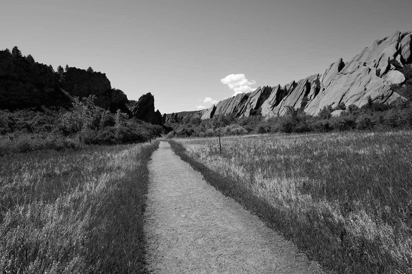 Leica Q2 Monochrom Full Frame Compact Digital Camera customer photo 2