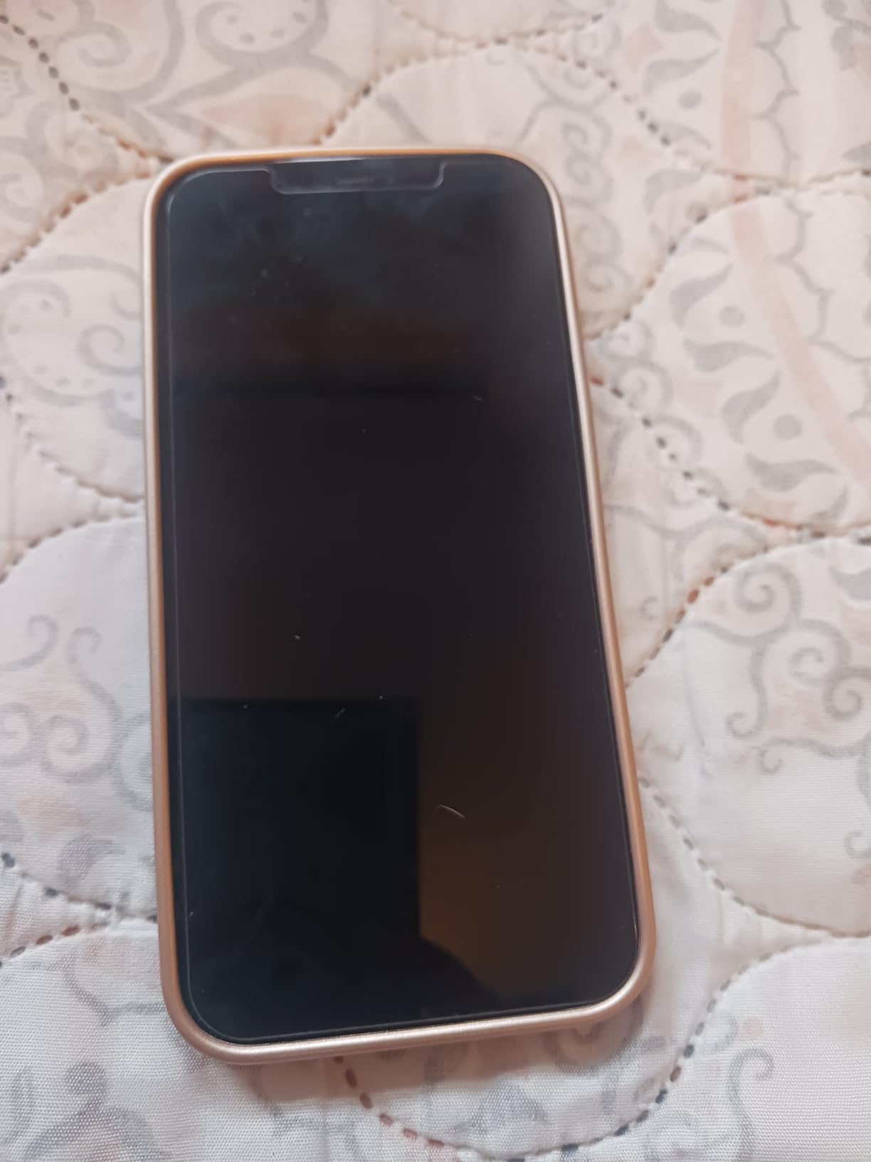Apple iPhone 12 Pro Max, 128GB, Pacific Blue - Fully Unlocked (Renewed) customer photo 1