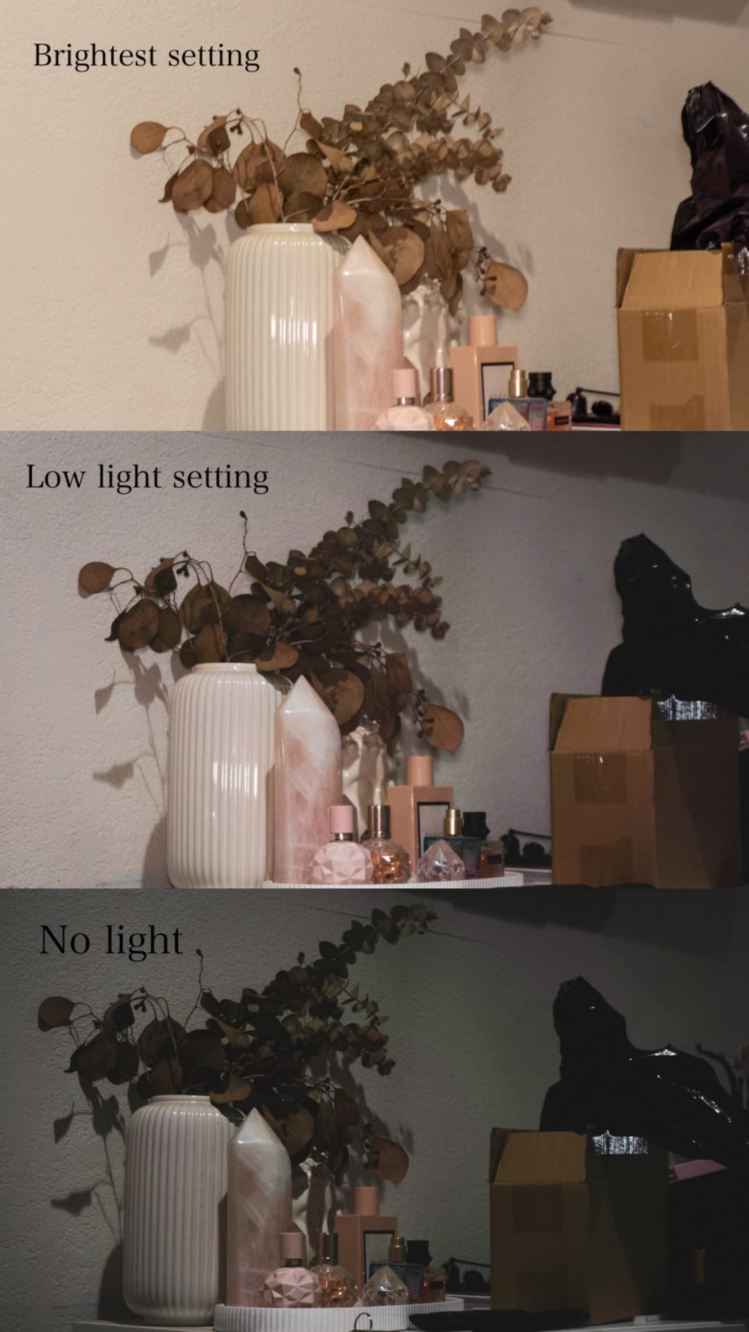 NEEWER LED Video Light, Portable Bi Color Lights for Cameras, NL-36AI customer photo 2