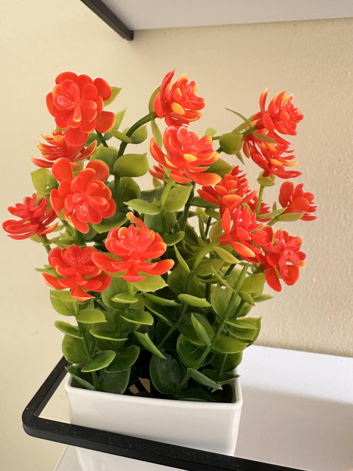Yoratee 6 Pack Small Artificial Flower Potted Plants, Mini Faux Flowers in Pots Colorful Fake Plants for Indoor Bathroom Office Desk Tabletop Windowsill and House Shelf Decorations customer photo 1
