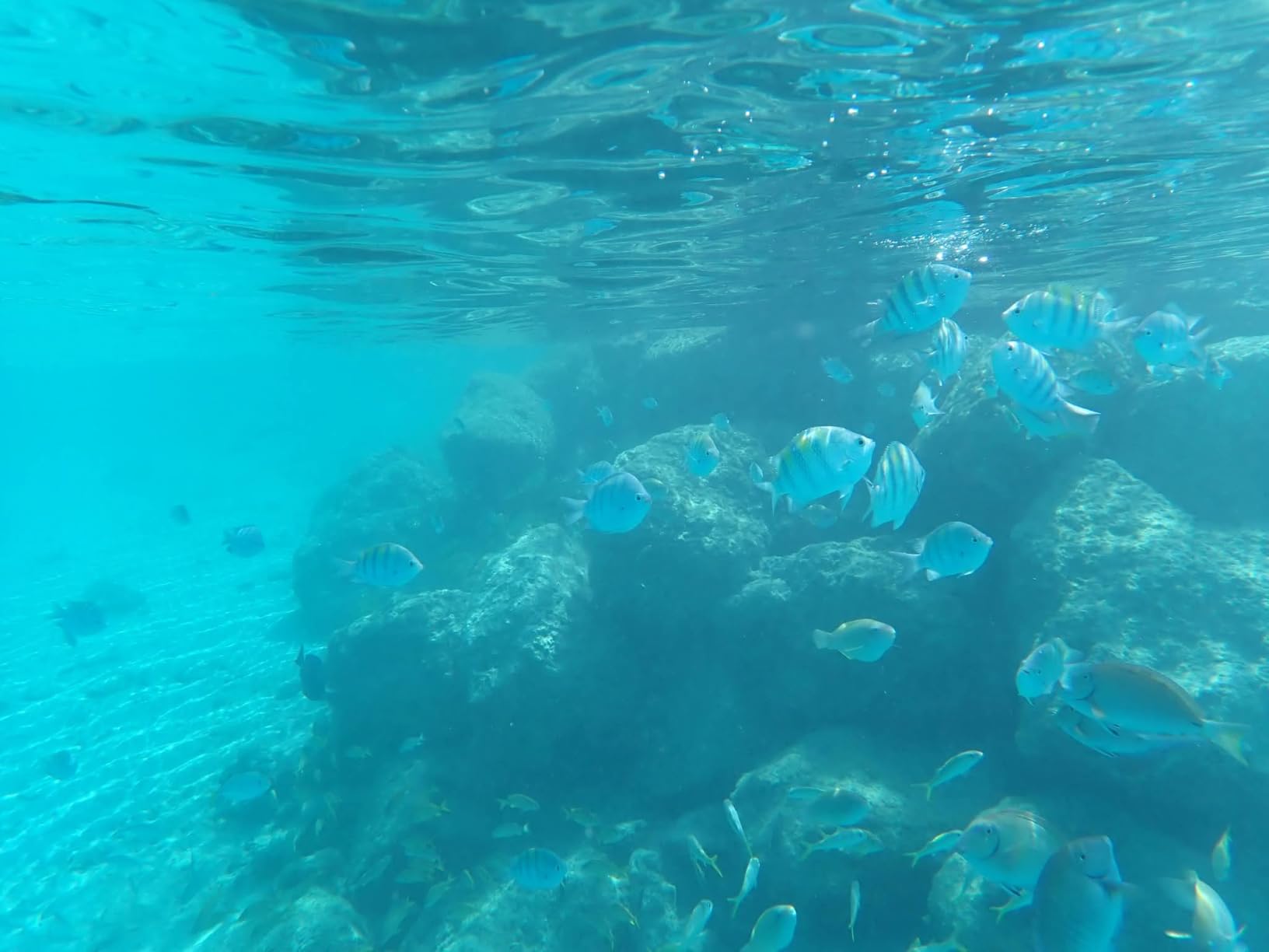 OM System OLYMPUS Tough TG-7 Red Underwater Camera, Waterproof, Freeze Proof, High Resolution Bright, 4K Video 44x Macro Shooting (Successor Olympus TG-6) customer photo 1