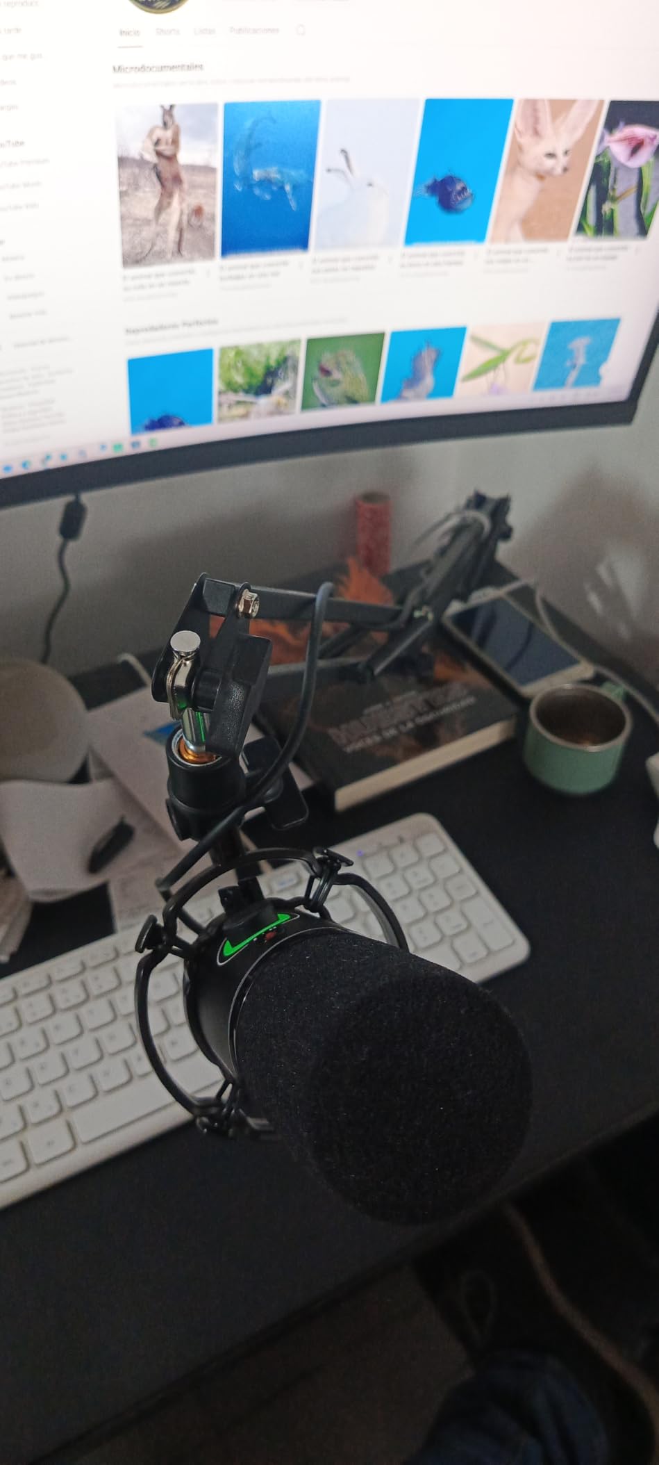 MAONO PD200XS XLR/USB Dynamic Microphone Kit, RGB Gaming Mic with Software customer photo 1