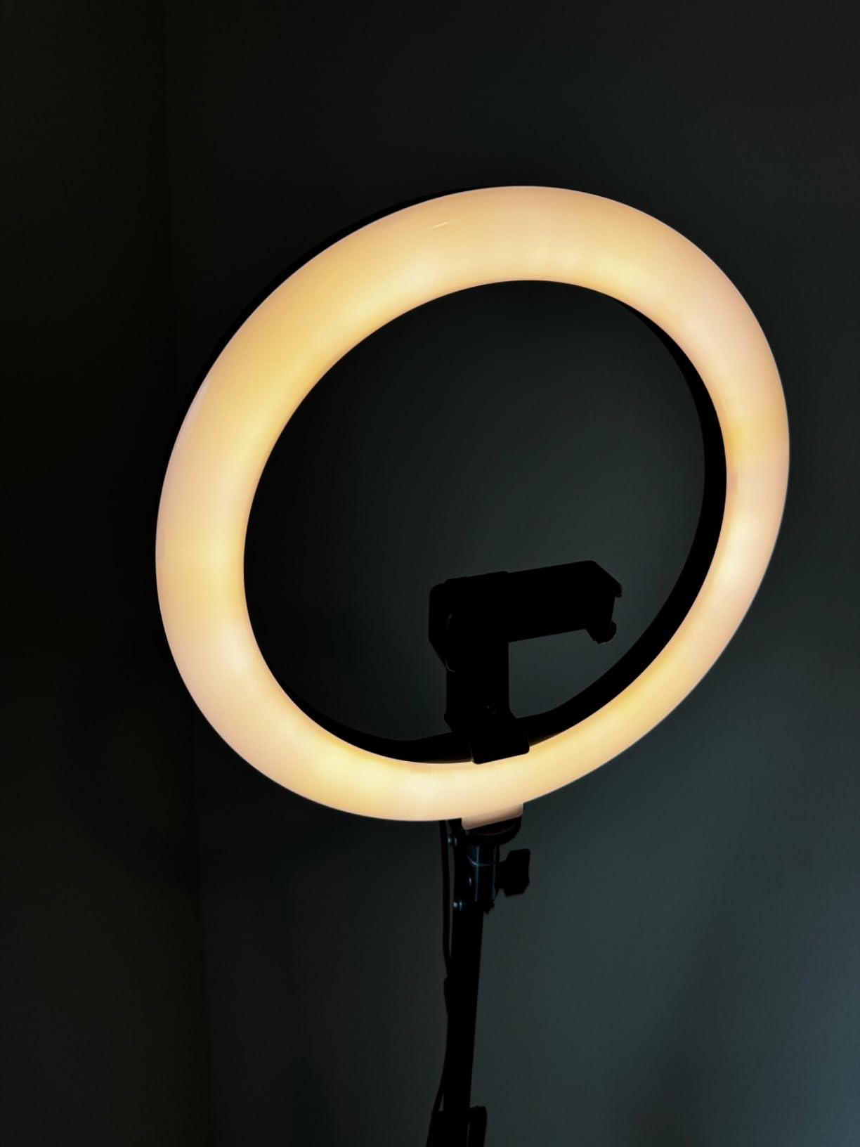 Ring Light with Stand Tripod for iPhone - Evershop 10