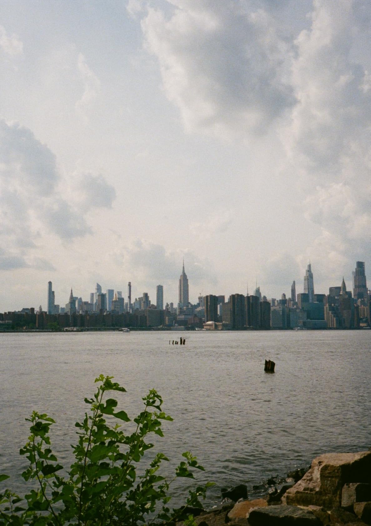 PENTAX 17 35mm Film Camera, Half-Frame Format customer photo 2