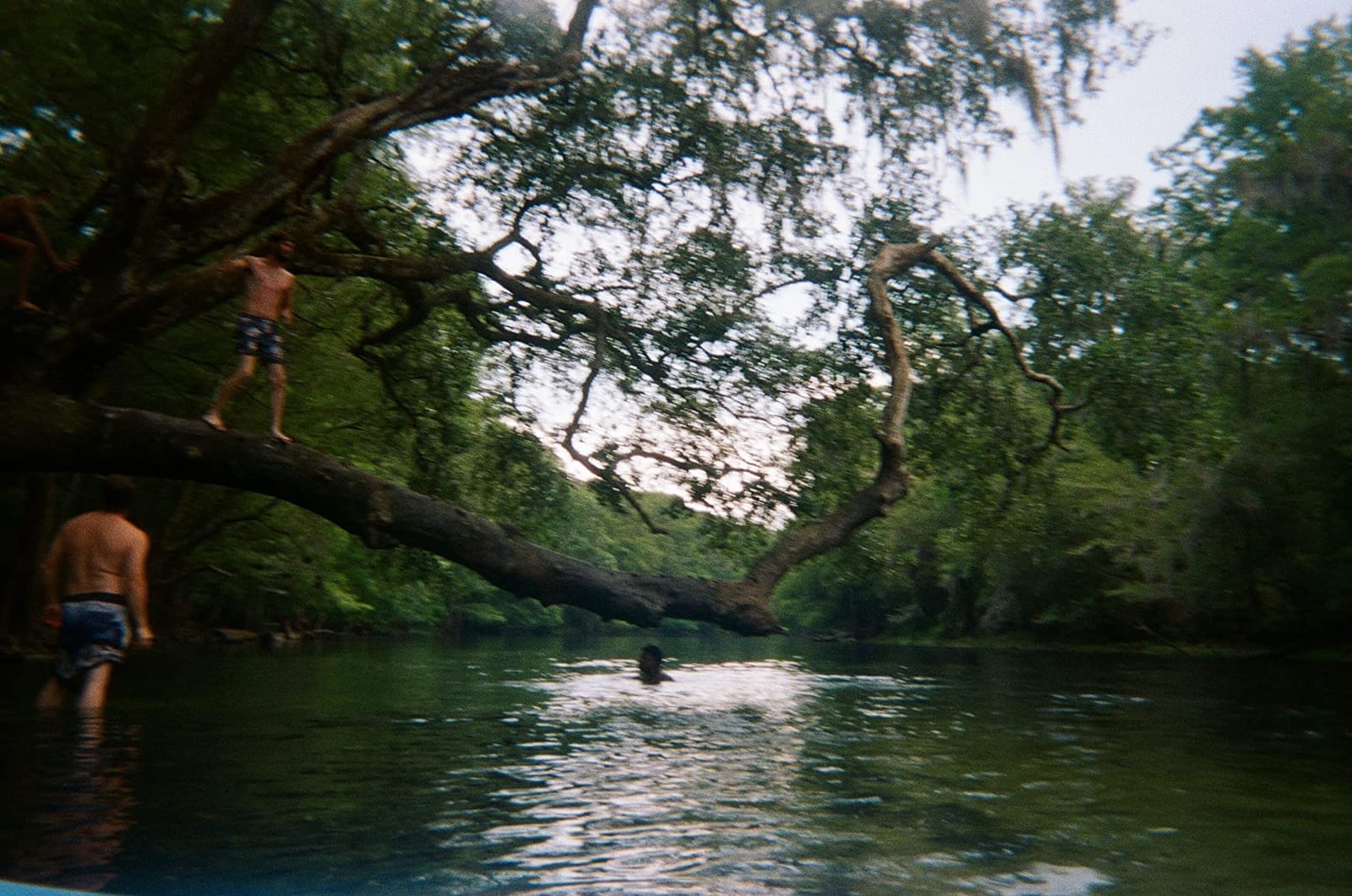 Fujifilm QuickSnap 800 Waterproof 35mm One-Time-Use Disposable Camera (Single) customer photo 1