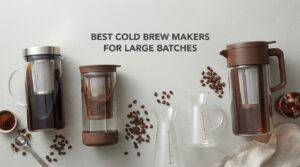 best cold brew makers for large batches