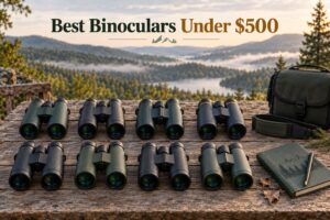 Best Binoculars Under $500