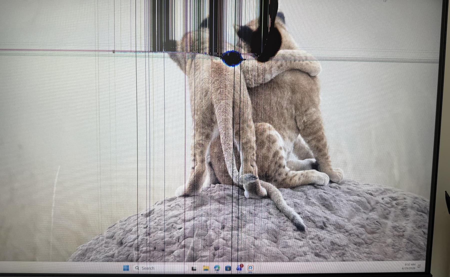 KOORUI 24-inch Computer Monitor FHD 100Hz VA HDMI/VGA, Audio Out customer photo 1