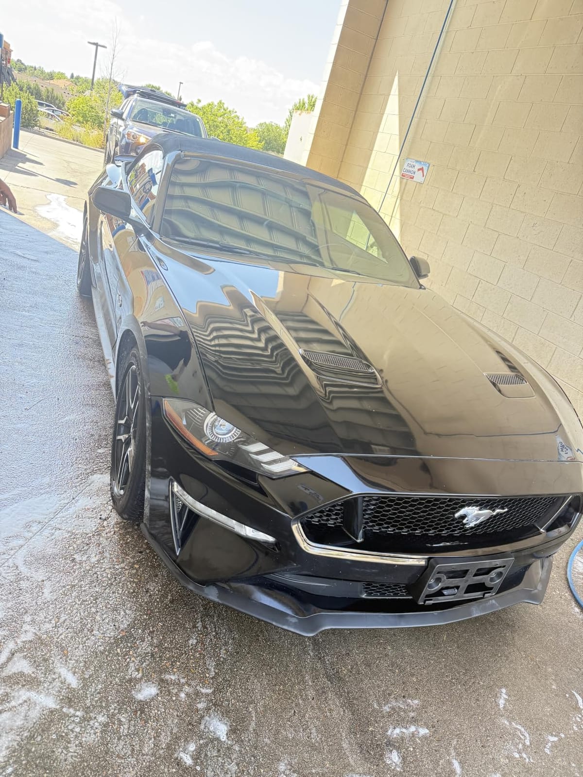 ExoForma Mega Car Drying Towel - Holds Up to 9 lbs, No Streaks, Scratches, or Water Spots | 1200 GSM Microfiber Double Twist Pile & Edgeless Design, 1 Quick & Effortless Dry - 24” x 36” customer photo 2