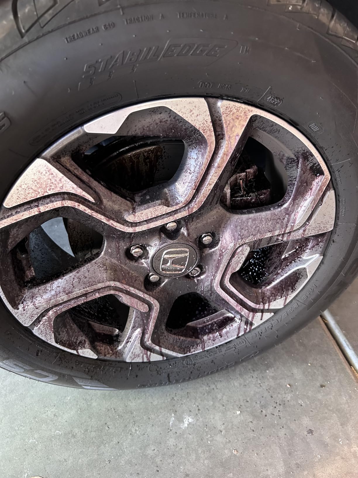 Carfidant Rim Reactor Wheel & Rim Cleaner Spray – Removes Brake Dust & Grime - Thick Gel, Dilutable - pH Neutral, Non-Acidic Tire Cleaner - Safe for Chrome, Black, Painted & Alloy Wheels - 16 fl oz customer photo 1