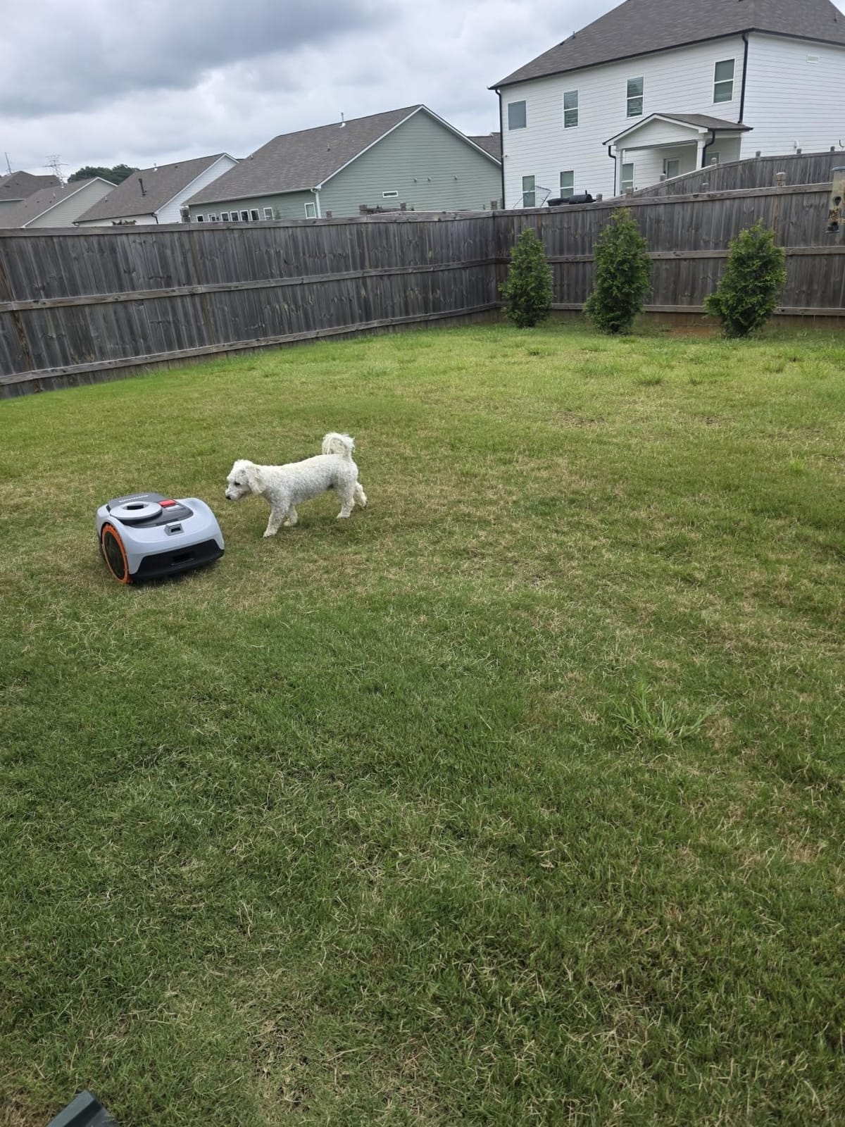 Segway Navimow i206 AWD Robot Lawn Mower Wire Free with Garage S, 0.15 Acre customer photo 1