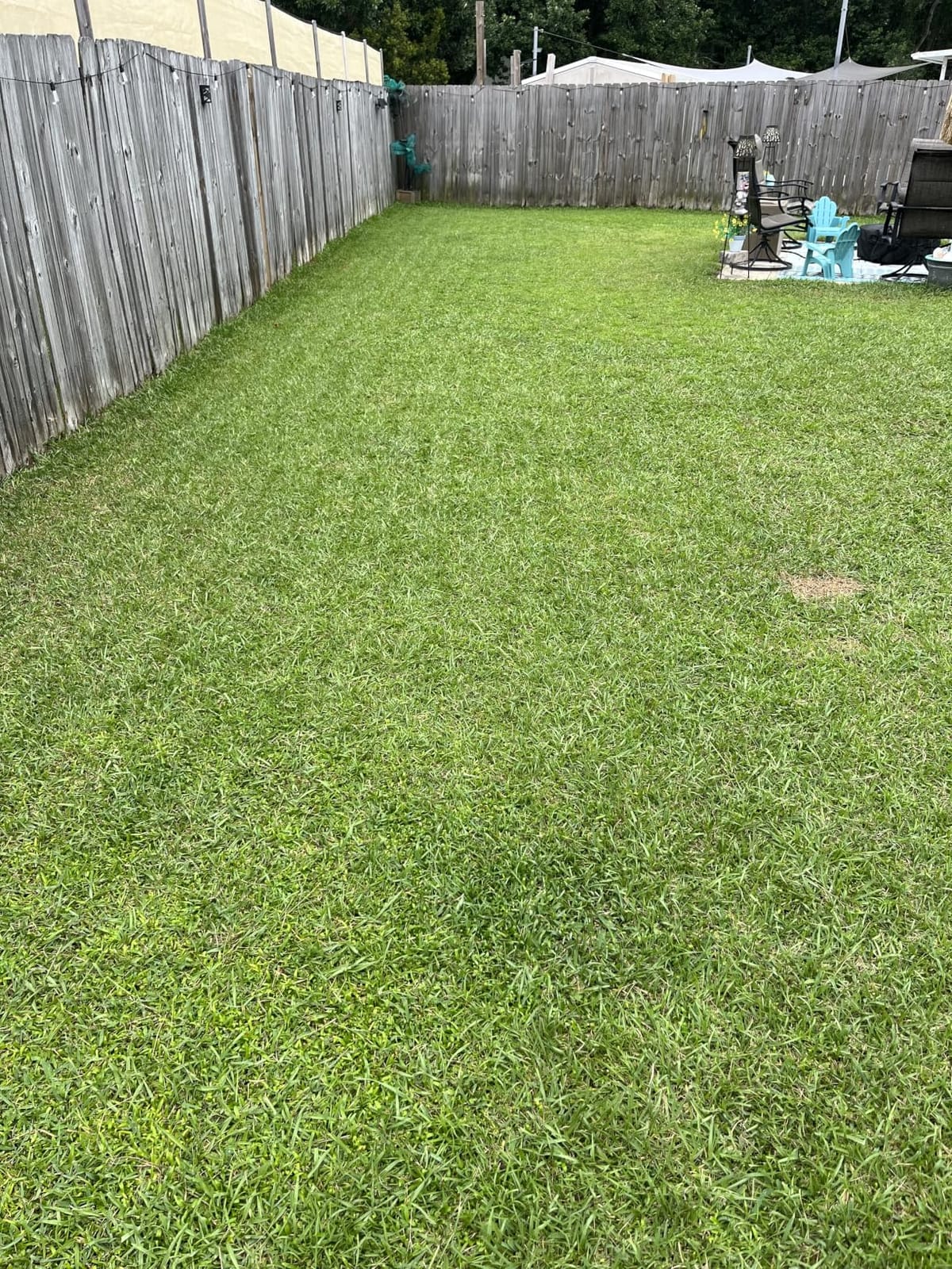 ECOVACS Goat O1000 RTK Care Robot Lawn Mower, RTK Navigation, 1/4 Acre customer photo 2